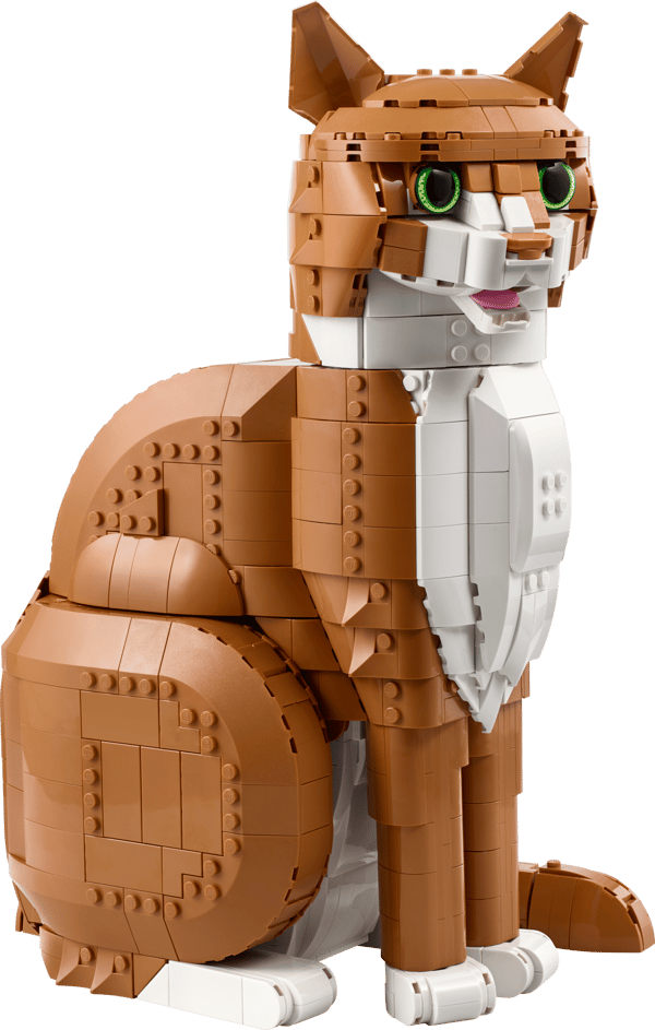 LEGO 21376 Le chat roux