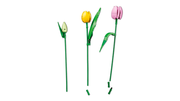 LEGO 11501 Le bouquet de tulipes — visuel 7 sur 8