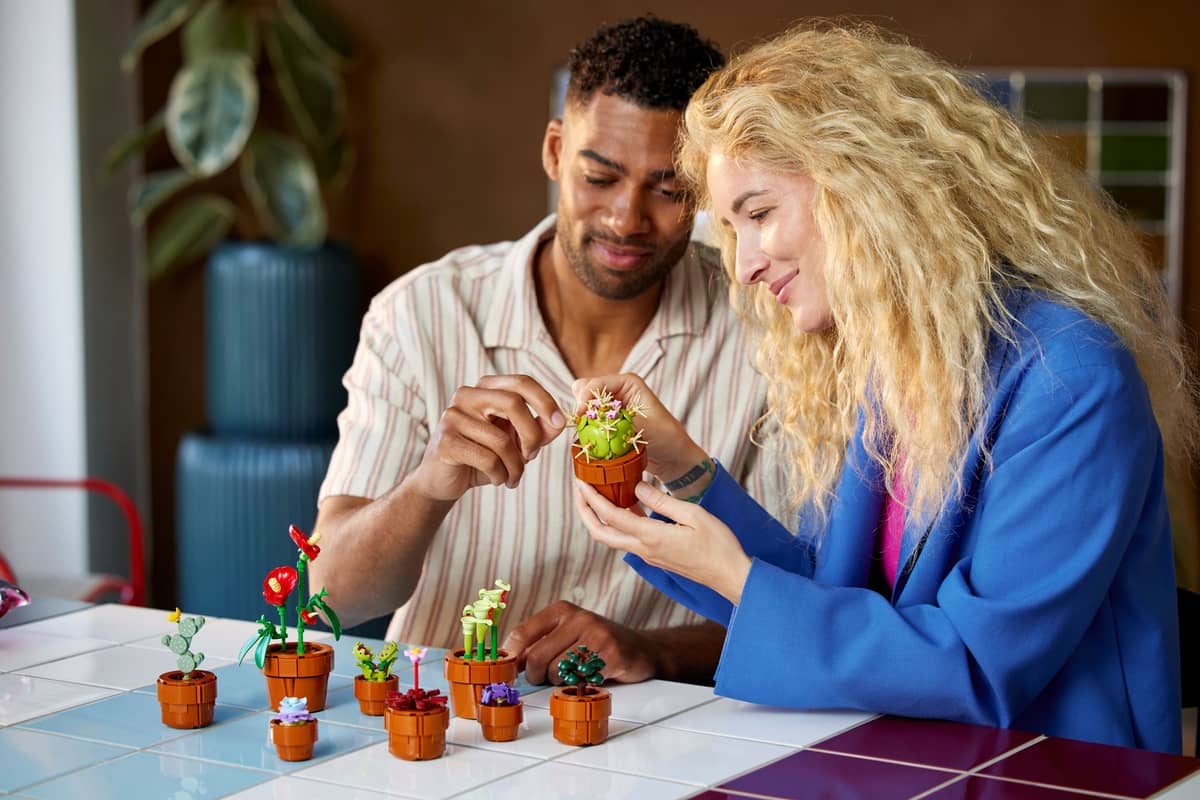 https://www.lego.com/cdn/cs/set/assets/blt408c711a85be2f3d/10329_alt6.jpg?format=webply&fit=bounds&quality=70&width=800&height=800&dpr=1.5