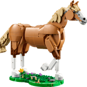 Le beau cheval