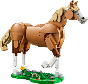 Le beau cheval