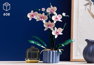Orchid 10311 | Botanicals