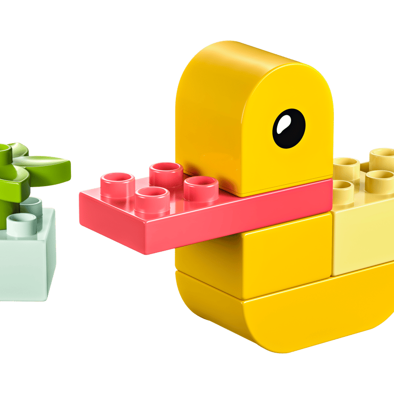 My First Duck - Main Image