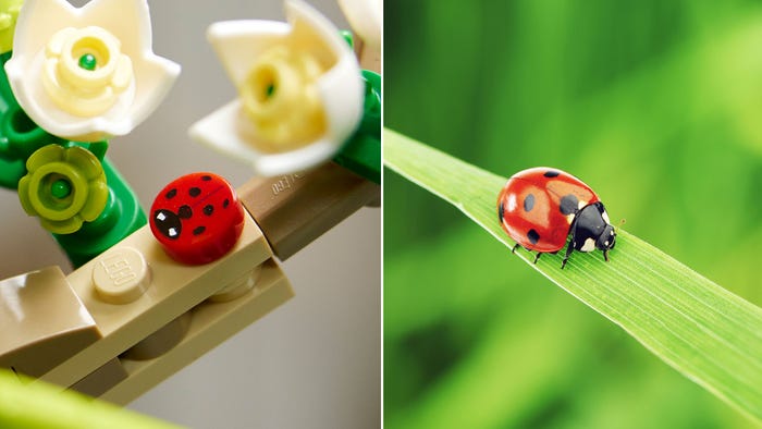 Bold and beautiful: Amazing Creatures in the new LEGO® Ideas The Insect  Collection