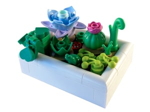 Petit jardin du désert