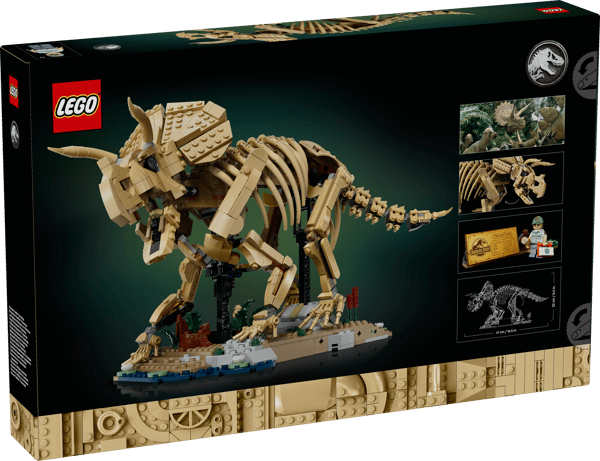 Dinosaur Fossils: Triceratops - Image 19