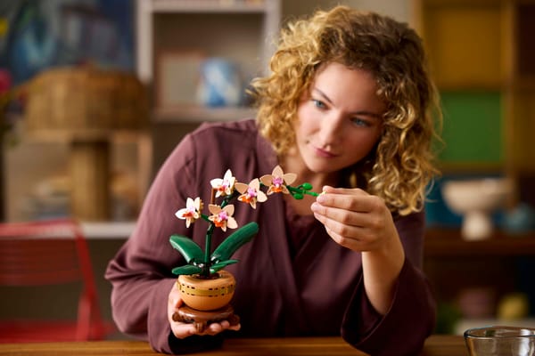 Mini Orchid - Image 9