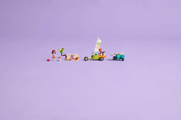 Surfing Dogs and Scooter Adventure - Image 11