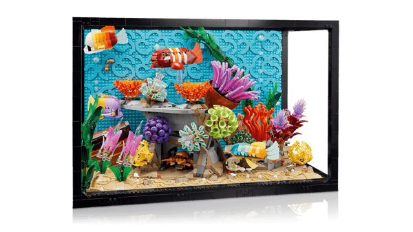 Tropical Aquarium - Image 8