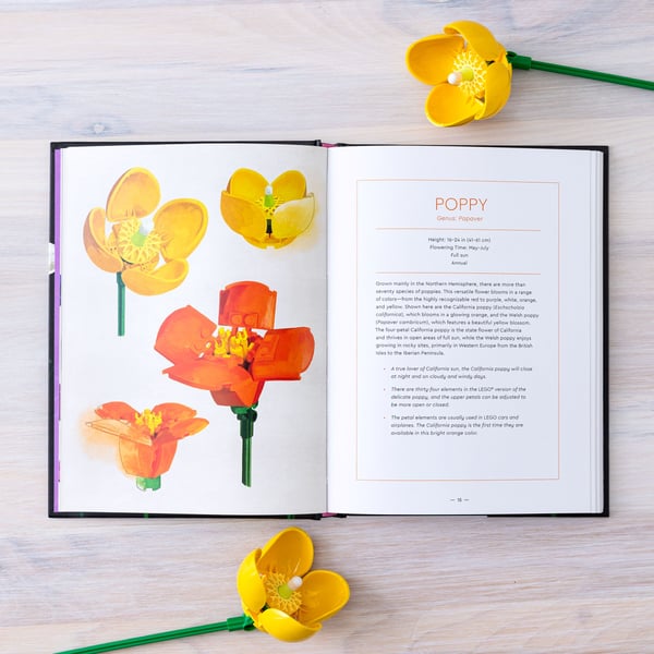 LEGO 5008877 Botanical Almanac — visuel 4 sur 8
