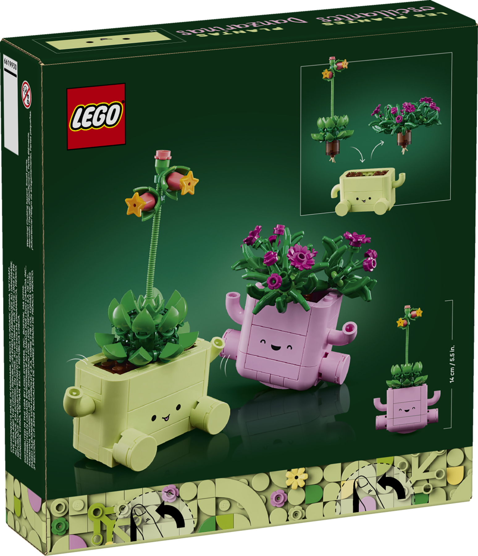 Rocking Plants 11506 | Botanicals | Buy online at the Official