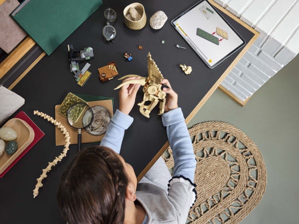 Dinosaur Fossils: Triceratops Skull - Image 8