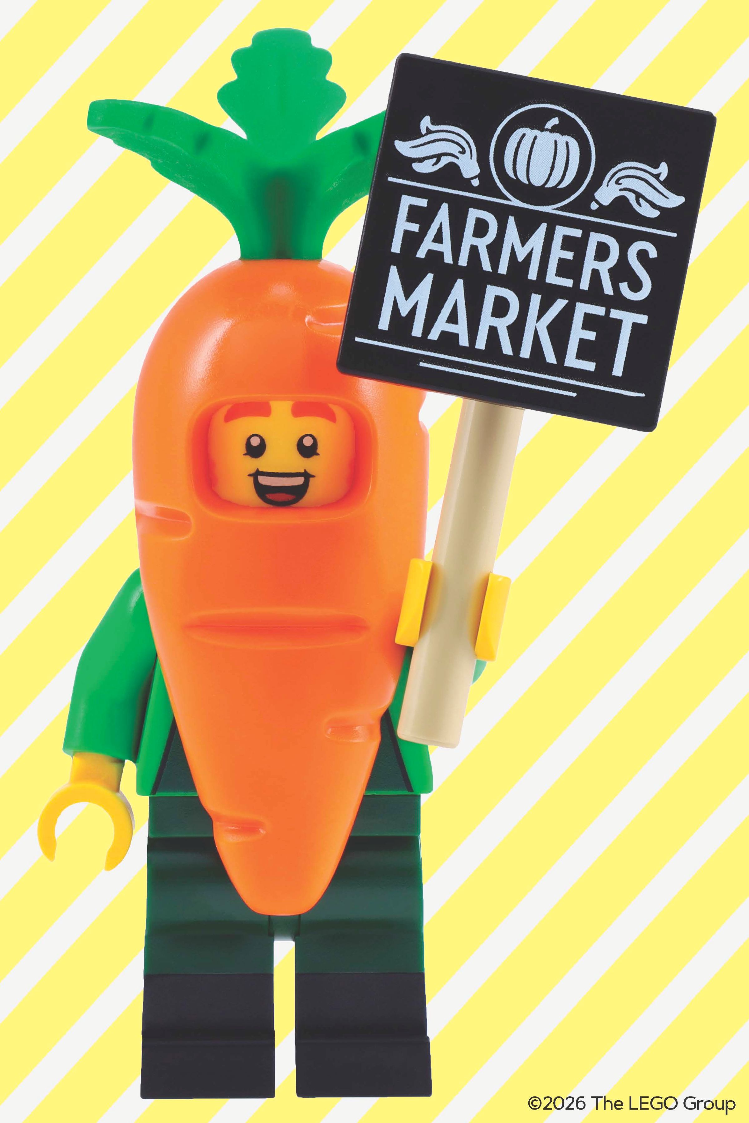 Mystery Minifigure Mini Puzzle (Springtime Edition) 5009997