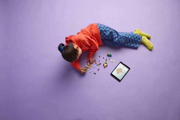 Surfing Dogs and Scooter Adventure - Image 10