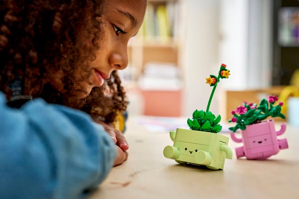 Rocking Plants - Image 10