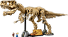 Dinosaur Fossils: Tyrannosaurus rex