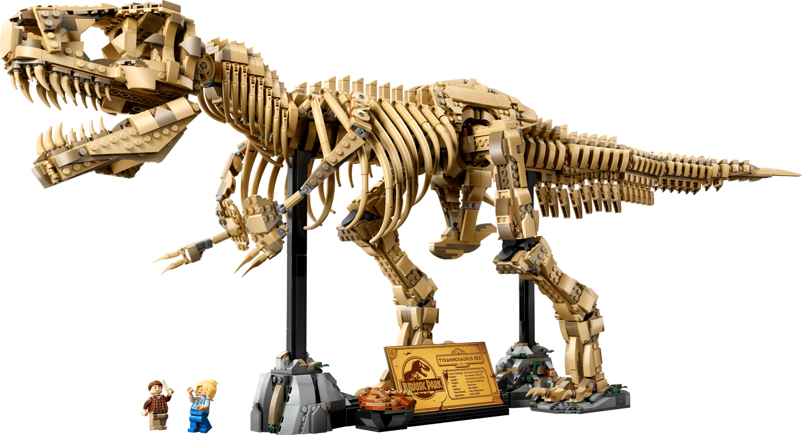 Fósiles de Dinosaurio: Tyrannosaurus rex