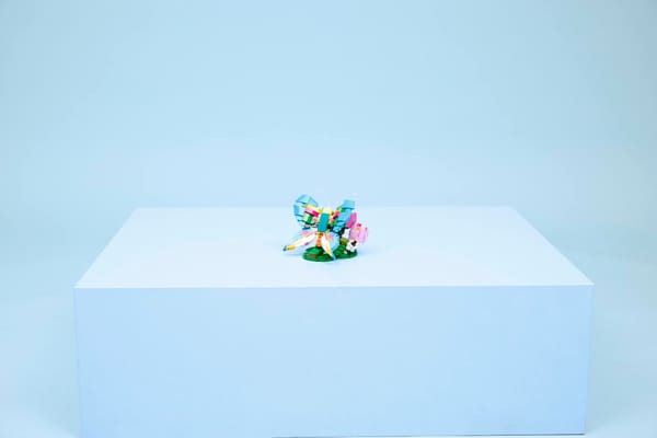 Wild Animals: Colorful Hummingbird - Image 14