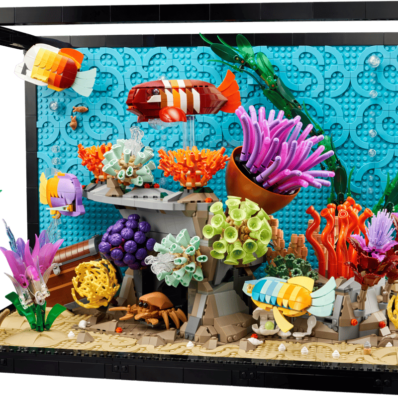 fish tank accessories big w Corner 12.5 Gallon Triangle Acrylic Aquarium Set includes 4 Large Hang on Back Aquarium