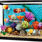 L’aquarium tropical