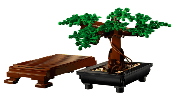 Bonsai Tree - Image 11