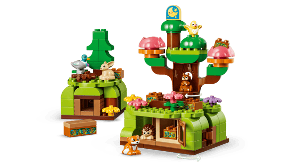 Discovery Forest with Wild Animals - Image 11