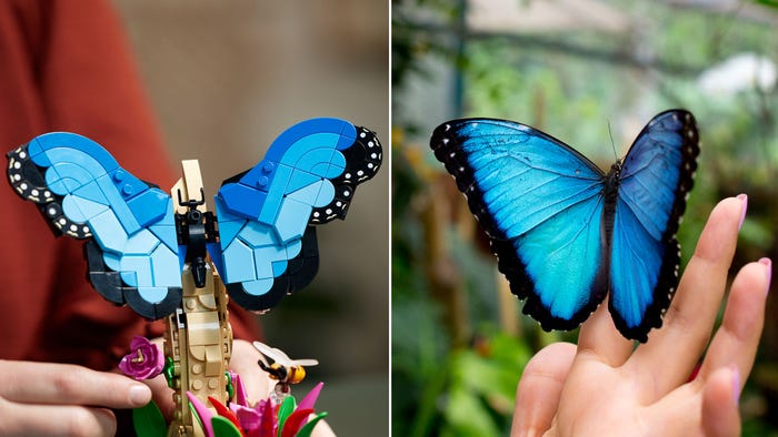 Bold and beautiful: Amazing Creatures in the new LEGO® Ideas The Insect  Collection