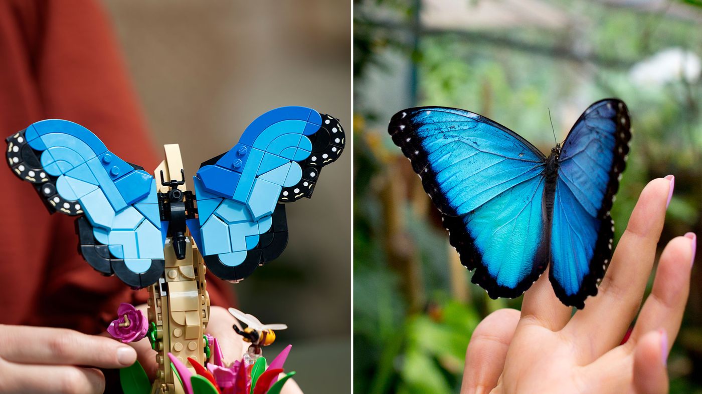 Lego Blue Guide Bold and beautiful: Amazing Creatures in the new LEGO® Ideas The Insect ...