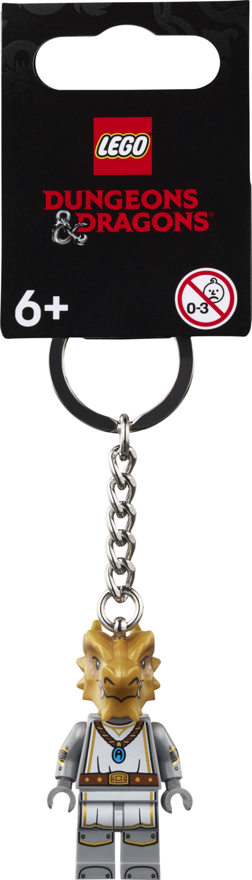 Dragonborn Paladin Key Chain 854331 | Other | Buy online at the
