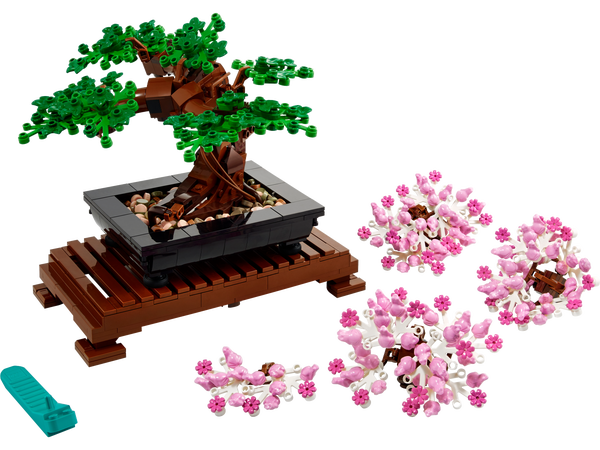 Bonsai Tree