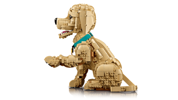 LEGO 11384 Le chiot Golden Retriever — visuel 4 sur 8