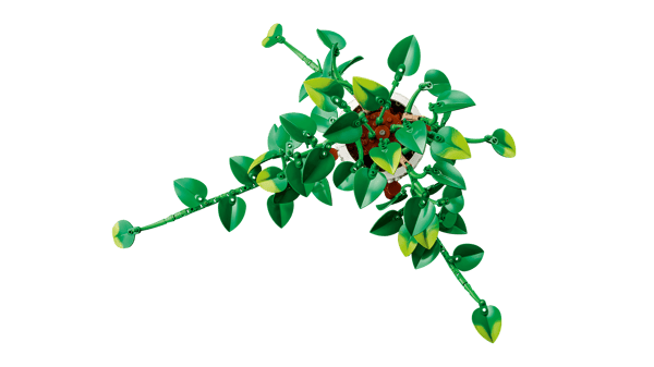 LEGO 11512 Pothos doré tombant — visuel 3 sur 8