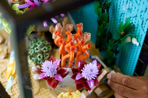 Tropical Aquarium - Image 16