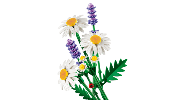 Daisies - Image 7