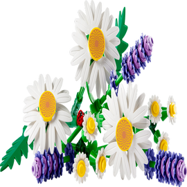 Margueritter - 11508 - The Botanical Collection