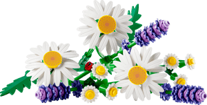 Marguerites