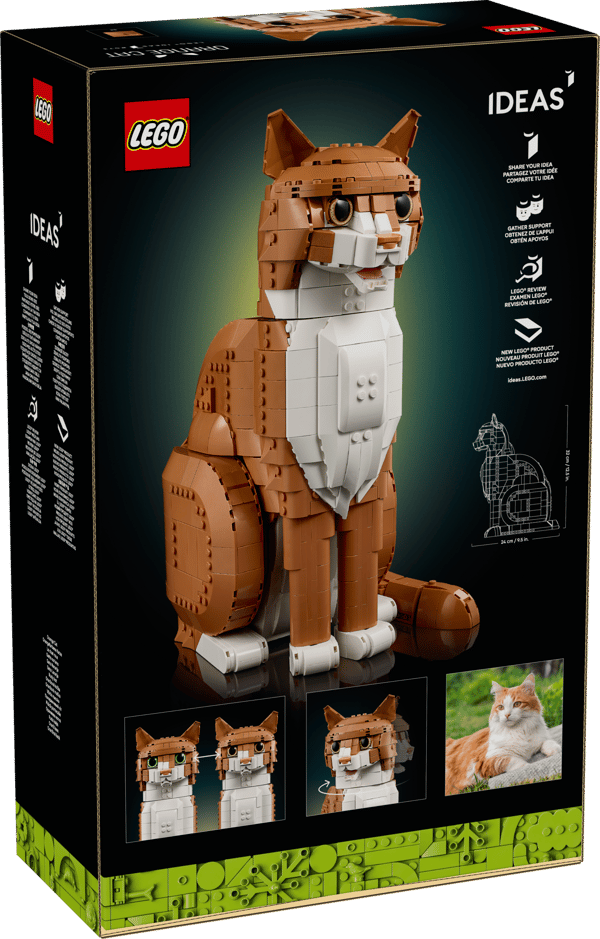 Orange Cat - Image 18