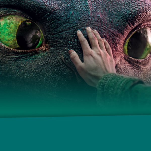 How to Train Your Dragon: Toothless