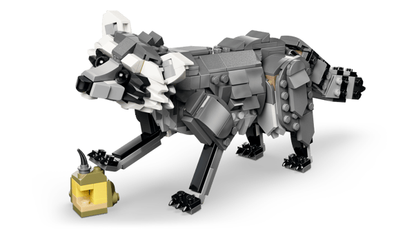 Forest Animals: Gray Wolf - Image 6