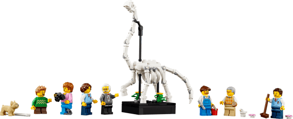 Natural History Museum - Image 12