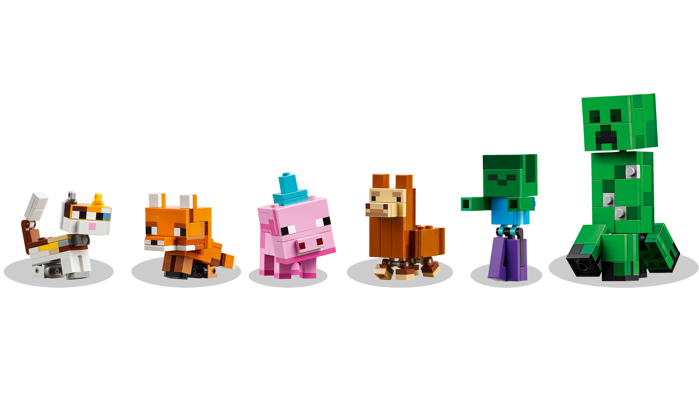 Baby Pig's Birthday Celebration