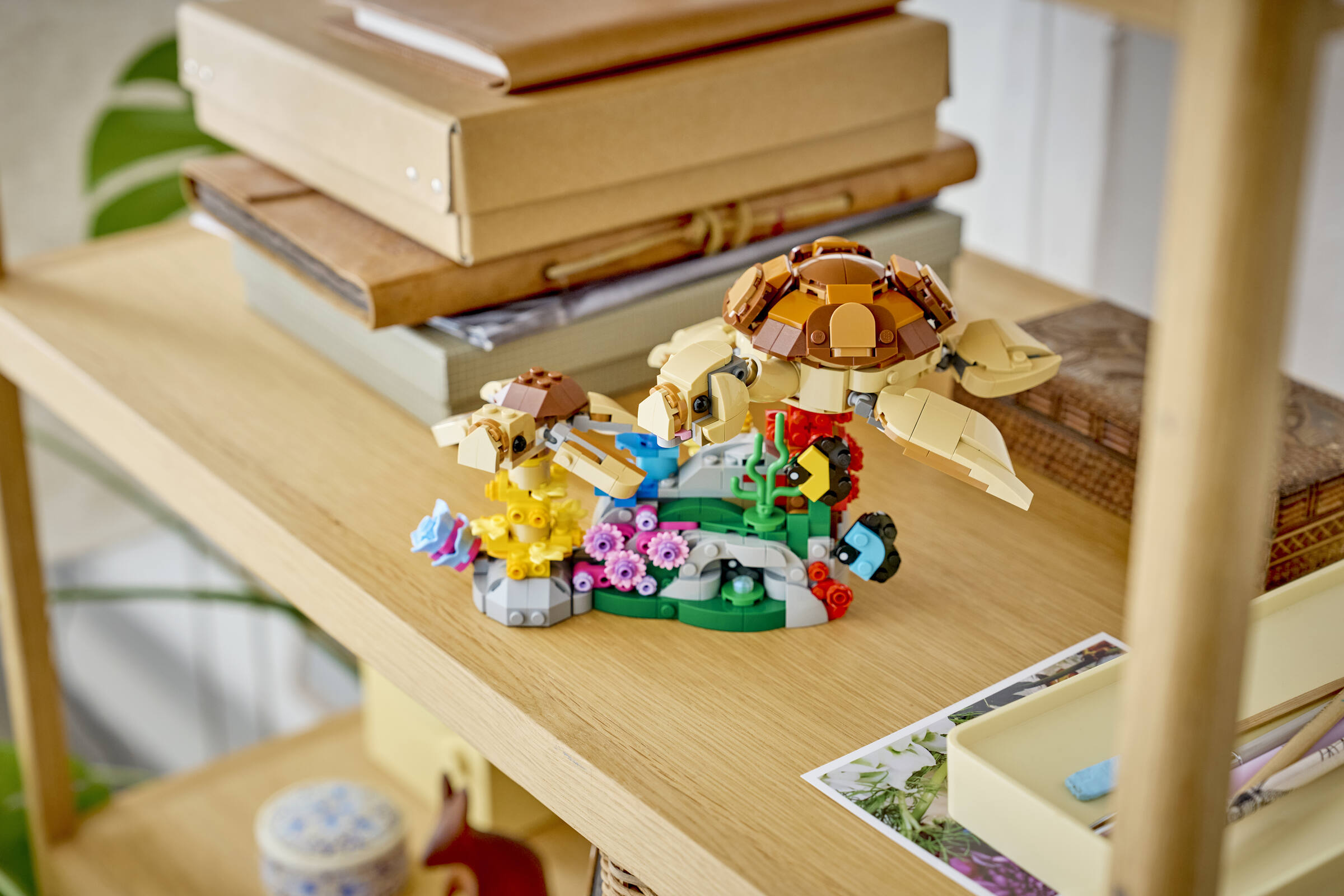 Wild Animals: Family of Koalas 31388 | Creator 3-in-1 | Buy online