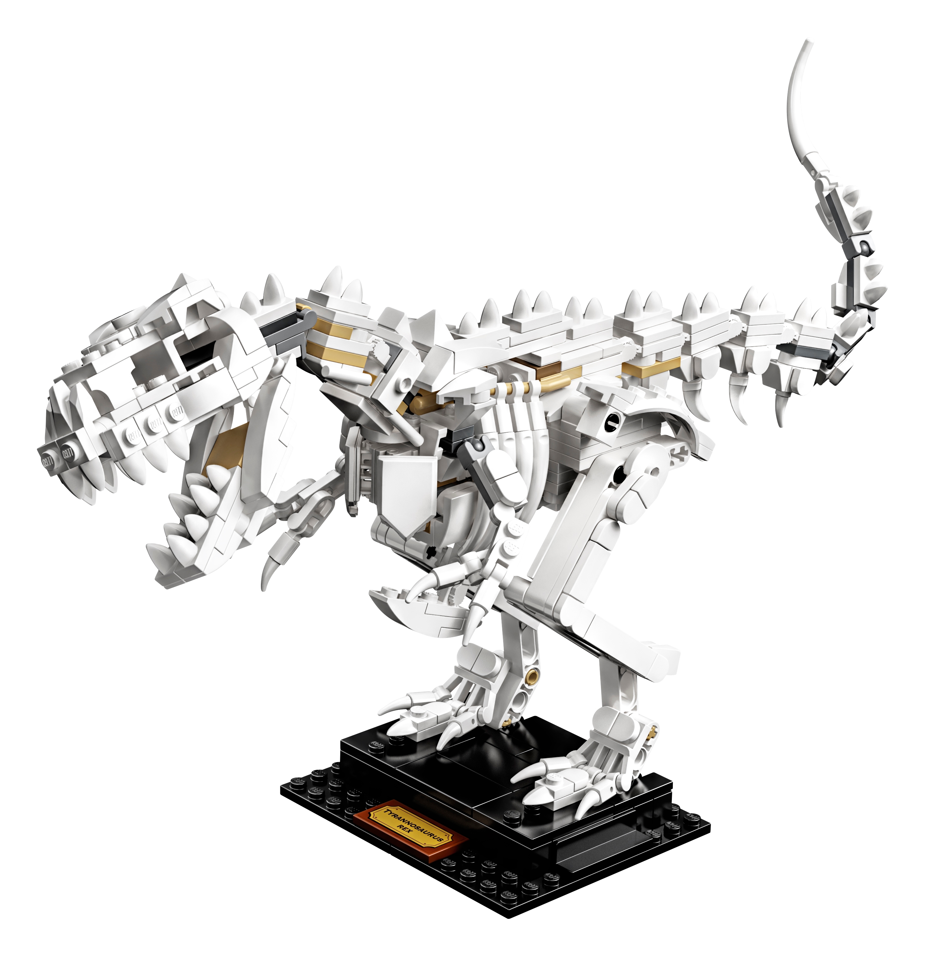 LEGO® Ideas 21320 Dinosaurier-Fossilien 16 GRATIS Polybag *NEU OVP* 910 Teile 