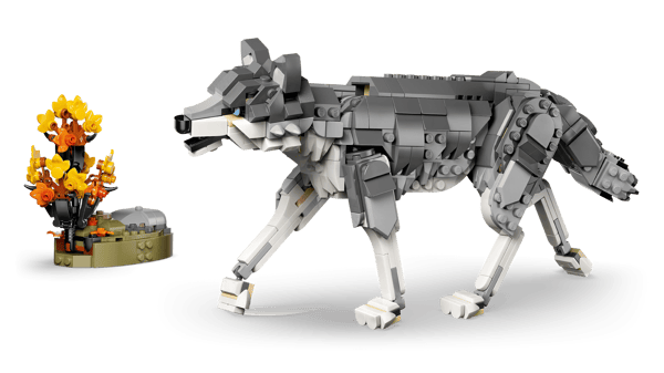 Forest Animals: Gray Wolf - Image 10