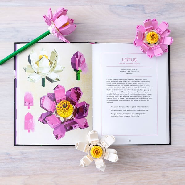 LEGO 5008877 Botanical Almanac — visuel 7 sur 8