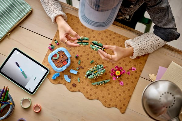 Flowering Cactus - Image 10