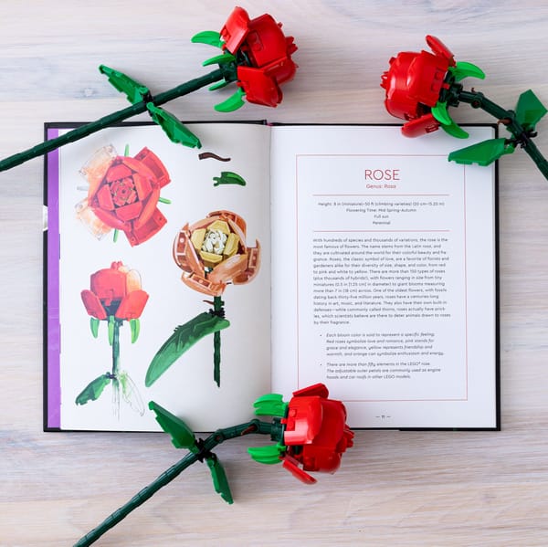 Botanical Almanac Book - Image 4