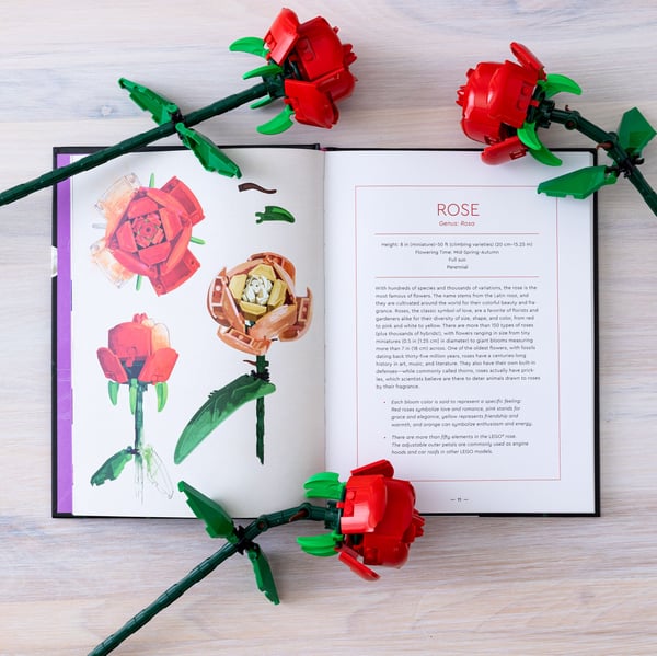 LEGO 5008877 Botanical Almanac — visuel 3 sur 8