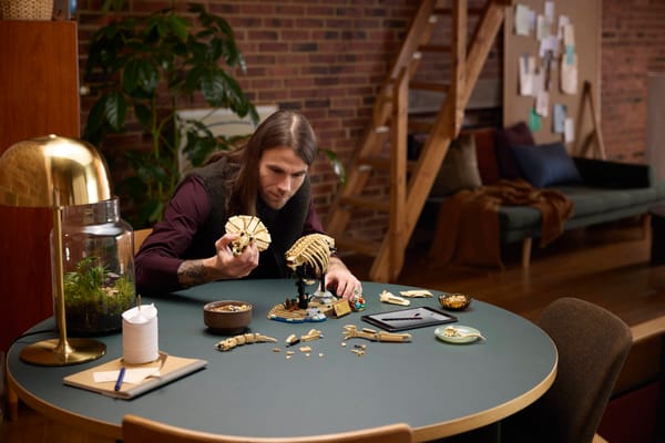 Dinosaur Fossils: Triceratops - Image 11