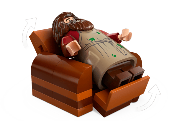 Hagrid's Hut: An Unexpected Visit - Image 8